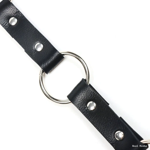 Anal Hooks EverydayUse Anal Kinky Collar Leash Hook with 5853 and 1007